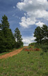 Path over the top of a mountain meadow 