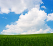 Spring Landscape