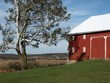 Photo: Red Barn with tree Red Barn with tree