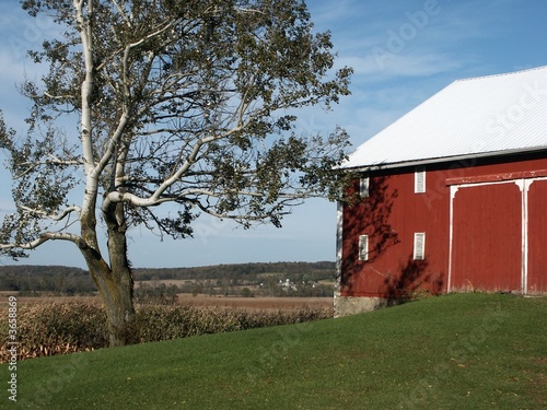 Photo: Red Barn with tree Red Barn with tree