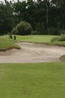 golf golf