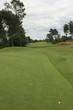 green green