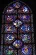 Stained glass window. Signs of the zodiac. Notre Dame, Chartres