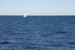 Clean image with blue aea and sky and white sailboat