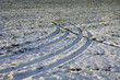 spuren im schnee