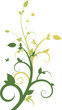 Floral design composition