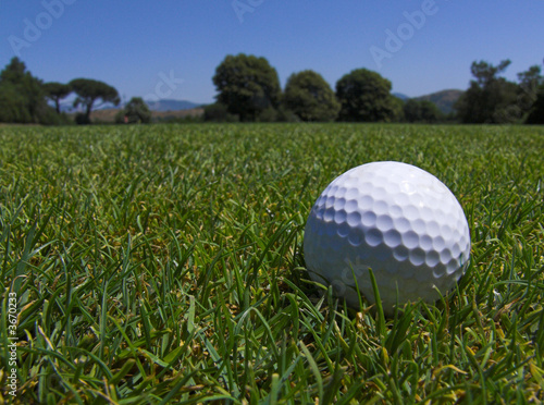 golf prato pallina
