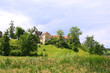 Anchient Svirzh castle