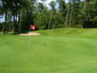 green de golf green de golf