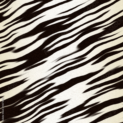 Photo: black and white stripe animal skin black and white stripe animal skin