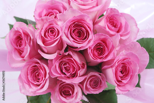 Photo: One dozen pink roses in a pink wrap One dozen pink roses in a pink wrap