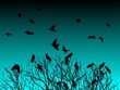 Tree of Crows at Twilight