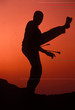 Capoeira 4 Capoeira 4