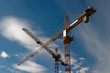 Heavy Duty Construction Crane