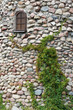 Old stone wall with small window and green plant..