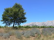 Sainte victoire