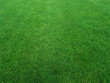 Gazon de football Gazon de football