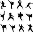 martial arts silhouettes martial arts silhouettes