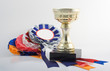 Gold cup with colored ribbons on the white background.