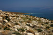 Dead Sea ,4