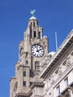 Liver bird on the Liver Building Liver bird on the Liver Building