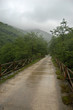 Bridge in Leizaran Valley. Guipuzcoa, Spain