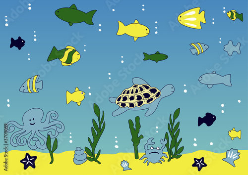 Ocean and sea life 