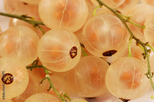 Weiße Johannisbeeren Nahaufnahme Weiße Johannisbeeren Nahaufnahme