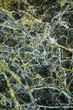 Marbled green wall of a seaside cliff