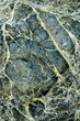 Marbled green wall of a seaside cliff