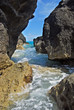 Bermuda Coast