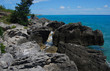 Bermuda Coast