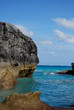 Bermuda Coast
