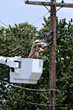 Lineman - Utility