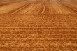Picturesque soil