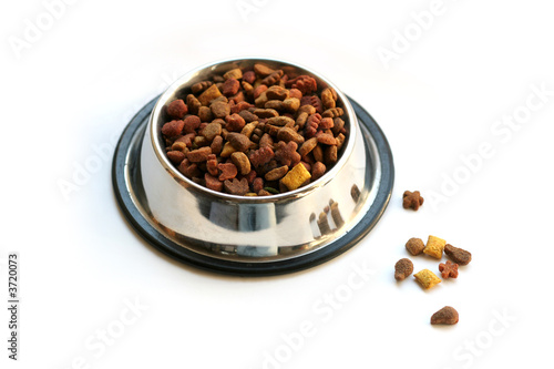 Photo: pet food isolated on white background pet food isolated on white background