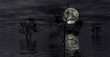 Lune et arbres