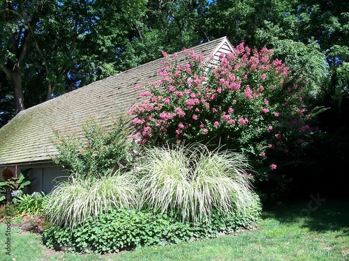 Photo: garden shed garden shed