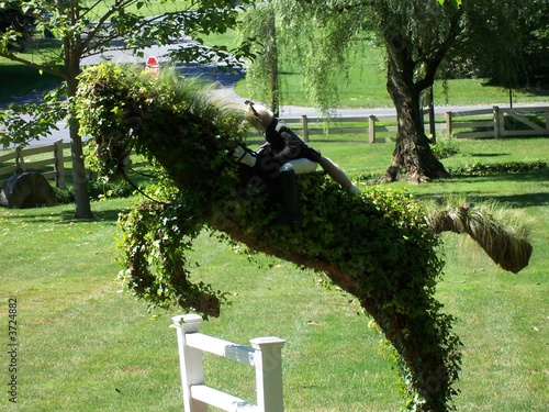 Photo: jumping horse jumping horse