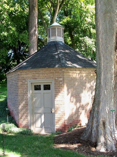 Photo: sunny shed sunny shed