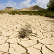 Photograph took at the desert of Bardenas Reales