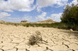 Photograph took at the desert of Bardenas Reales