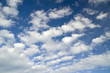 Photo: Altocumulus Altocumulus