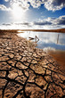Lake bed drying up due to drought