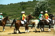 Horse Ball