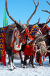 Three beauty north deers