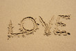 love on the wet sand at the beach