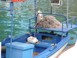 bateau