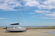 marée basse