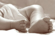 close up of baby feet, sepia